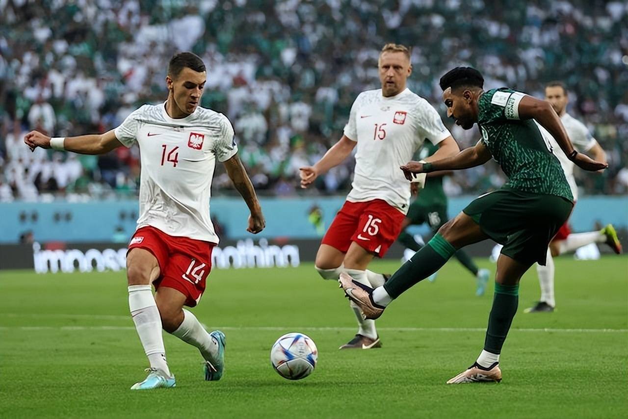 波兰乒乓球队翻盘比利时乒乓球队,波尔制霸全场的简单介绍 波兰乒乓球队翻盘比利时乒乓球队,波尔制霸全场的简单介绍