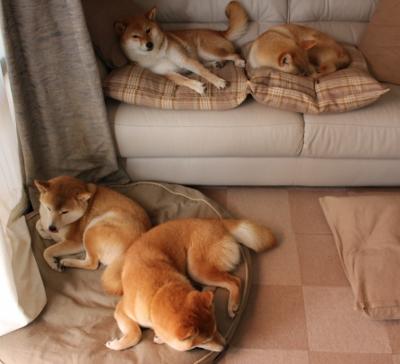 虚掩球门的文化交锋,伊拉克与比利亚雷亚尔的绿茵启示录