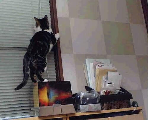 巴尔韦德成为胜负手,乌拉圭力克哥伦比亚的关键战役