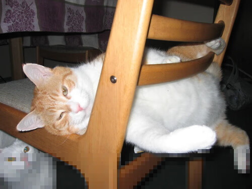 欧冠之巅,新王加冕,马丁内利撕裂暗夜的一道光