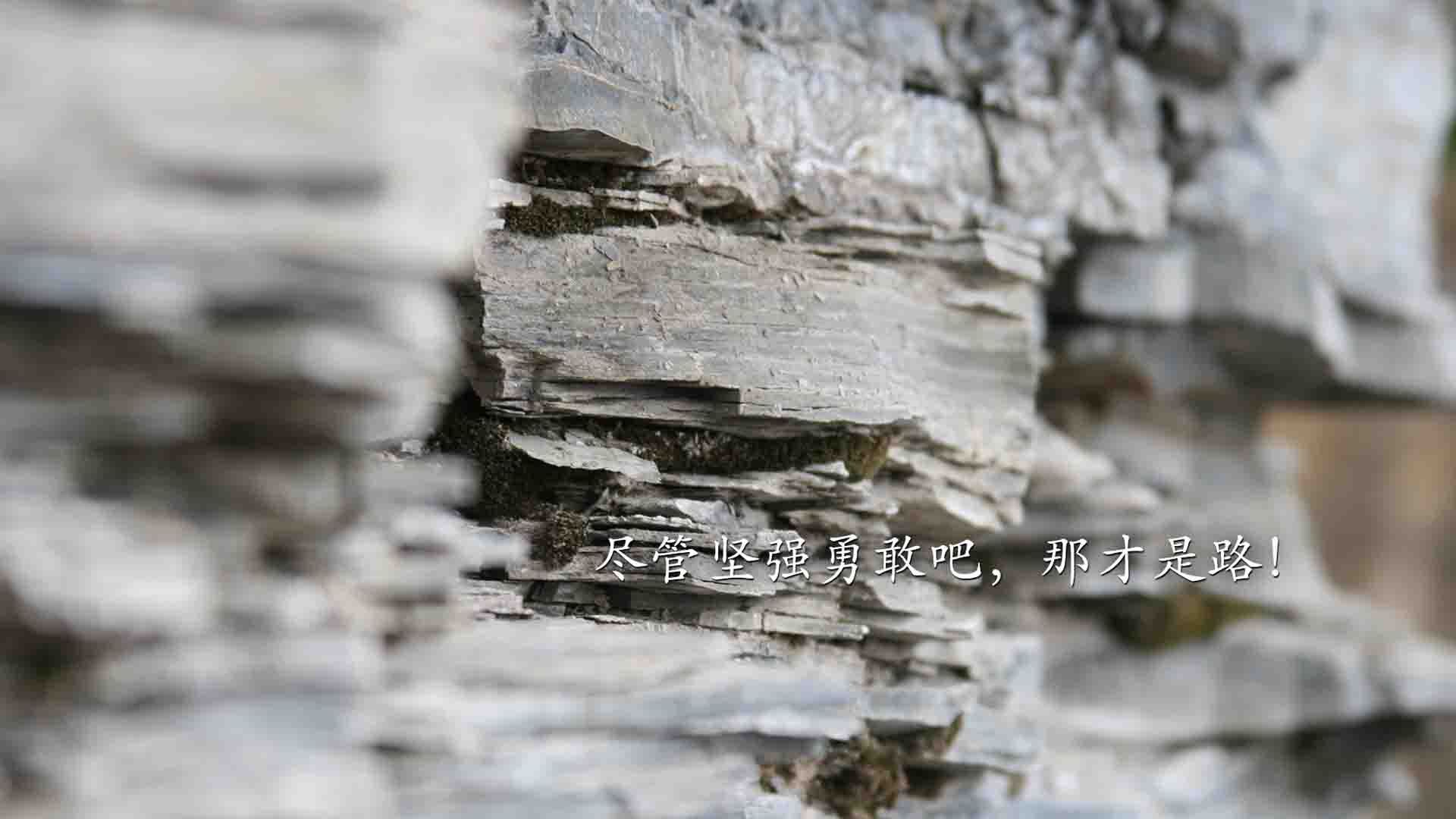 东契奇掌控全场但步行者上演末节风暴,团队篮球的终极胜利