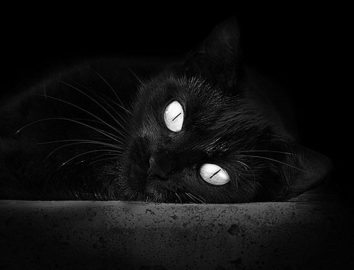 东契奇掌控全场但步行者上演末节风暴,团队篮球的终极胜利